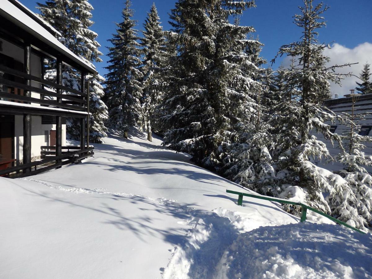 Apartma Gaber 80 Zreče Exteriör bild
